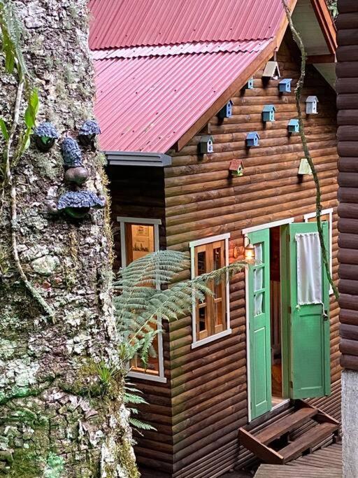 Lara, Com Lareira E Muito Estilo. Chalet Sao Francisco de Paula (Rio Grande do Sul)